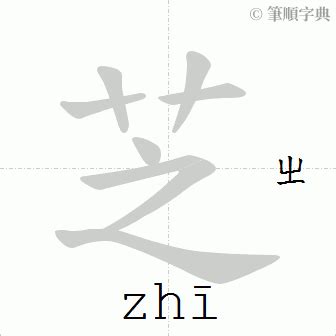 芝 筆畫|字:芝 (注音:ㄓ,部首:艸) 